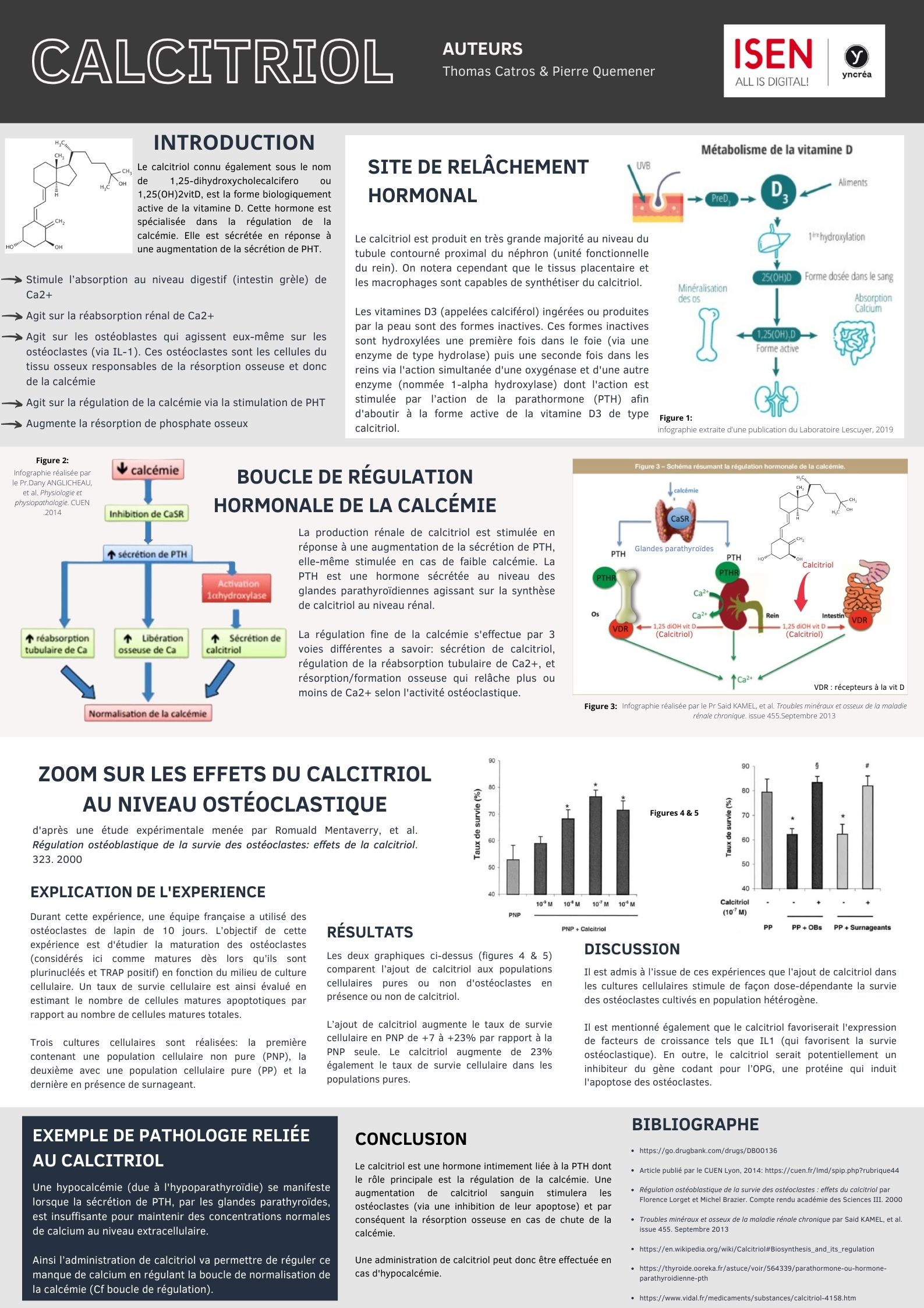 frontend of our wixsite